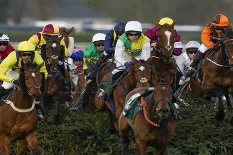 Which Grand National horse to back based on your star sign