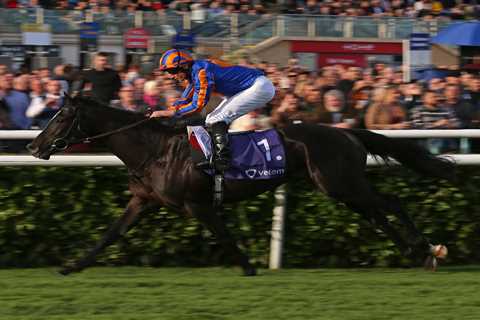 Ryan Moore warns Auguste Rodin faces ‘very dangerous’ threat that could ruin huge plunge on 2000..