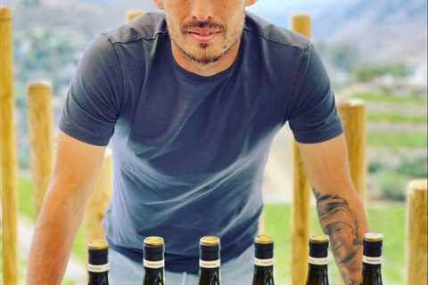 Inside Premier League and World Cup winner David Silva’s new life as a ‘wine freak’ selling ten..