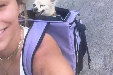 Paige VanZant wears low-cut top on bike ride with adorable dog in her backpack as fans go ‘woof’