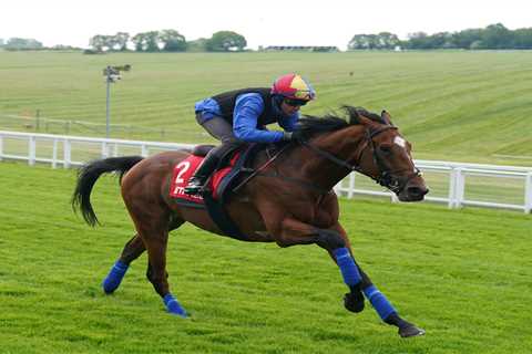 Frankie Dettori going into his final Epsom Derby with a ‘great chance’ after 6-1 shot Arrest..