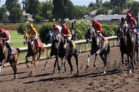 Experience the Thrill of Pleasanton CA Horse Racing