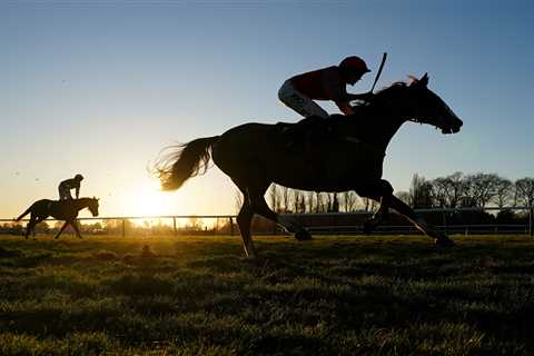 Popular jumps trainer quits after 18 years to become horse dentist saying he has been ‘priced out’..