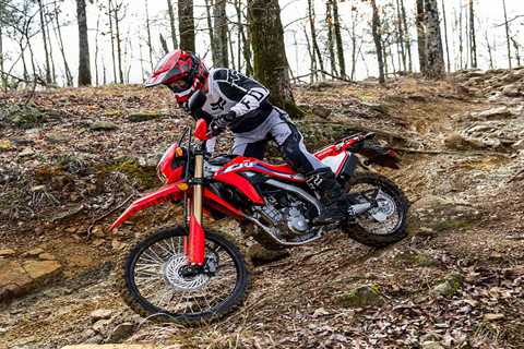 2023 Honda CRF300L and CRF300LS First Look Preview