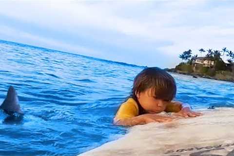 5 YR OLD KID SURFS WITH SHARK IN HAWAII