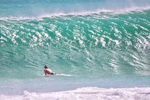 We SCORED a SURFING PARADISE in The JUNGLE!