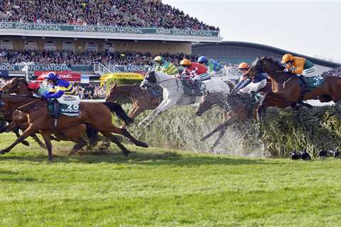 When is the Grand National 2024? TV channel, streaming info and how to get tickets for Aintree