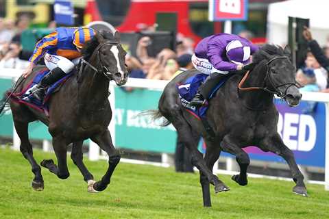 Aidan O’Brien could run incredible FIVE horses in blockbuster King George at Ascot including his..