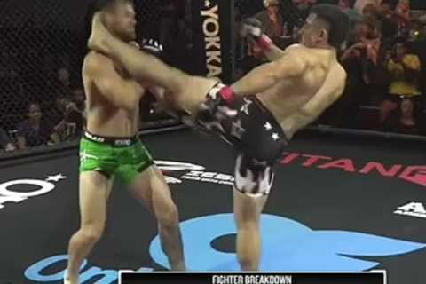 MMA Star Scores Fastest Knockout Ever But Faces Criticism for Underhand Tactic