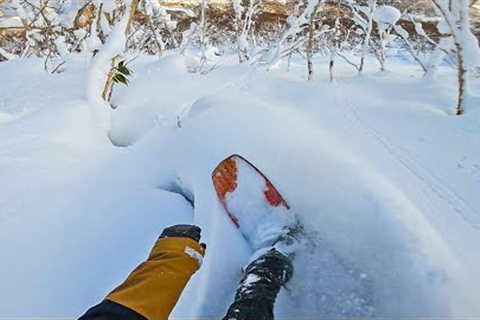 EPIC Untouched Powder Tree Snowboarding in Japan