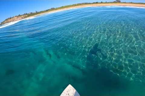 SURFING THE CLEAREST WAVES EVER!? (RAW POV) + TESTING SURF GEAR [PT.2]