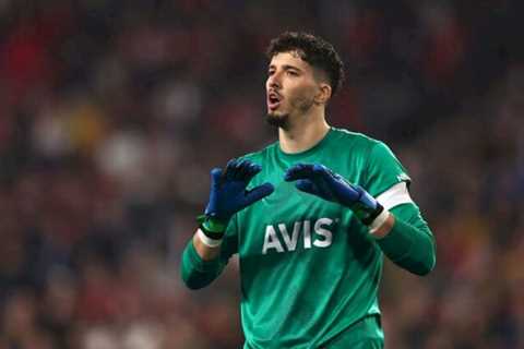 Deadline Day: Man United Secure Turkish Keeper as Henderson Replacement