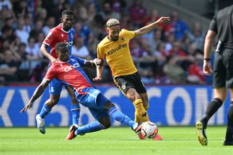 Crystal Palace 3 Wolves 2