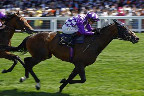 Shaquille Favored to Win Betfair Sprint Cup, but 14-1 Outsider Catches Attention