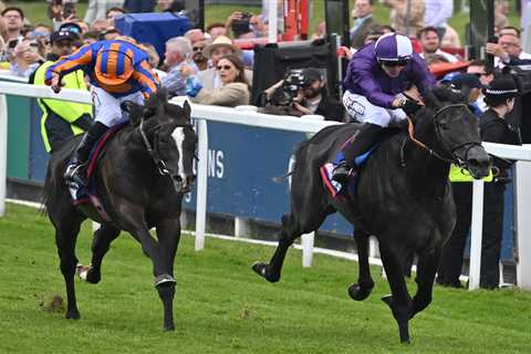 Blockbuster Rematch Set for Leopardstown: Auguste Rodin vs King Of Steel