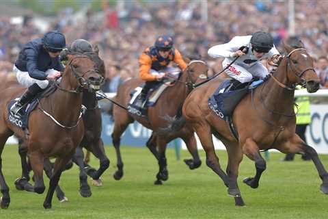 Legendary racehorse Marsha dies at age 10