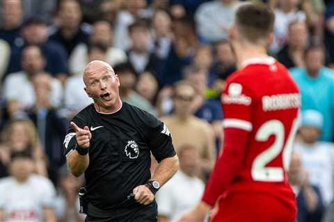 Liverpool And The Premier League’s Referee Problem