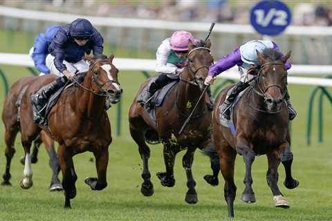 Tote World Pool comes to Newmarket with huge payouts on offer for UK punters