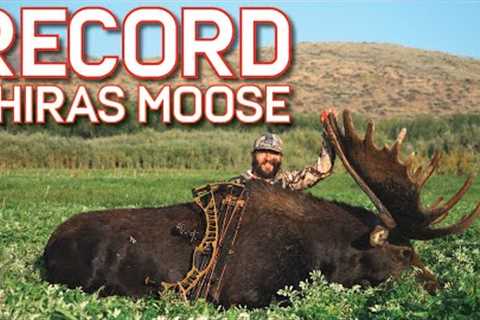 ONCE IN A LIFETIME Idaho ARCHERY MOOSE