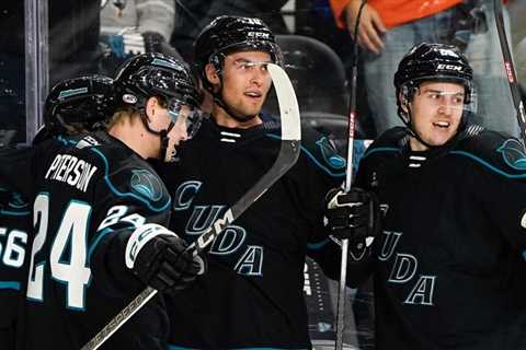 Barracuda putting pieces in place | TheAHL.com