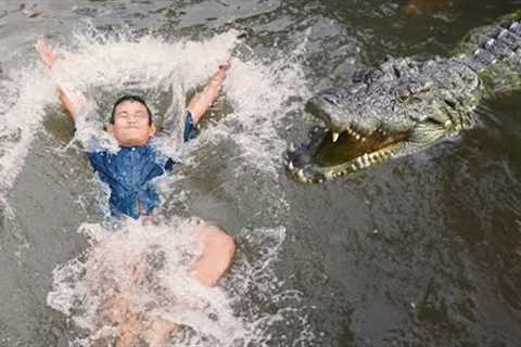 Most Brutal Crocodile Attacks!