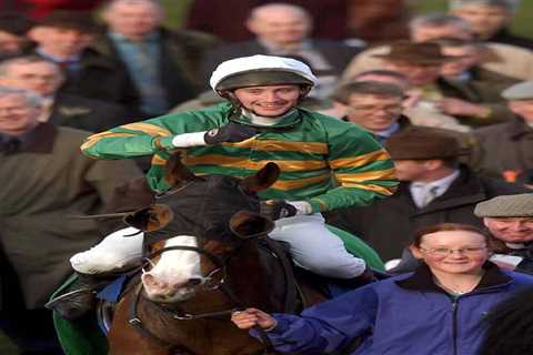 Beloved horse known for legendary Cheltenham race passes away at 31