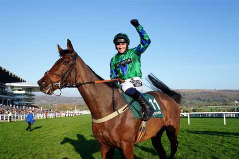 Who won the 2.20 at Cheltenham? Paddy Power Gold Cup 2023 result and finishing order for huge race