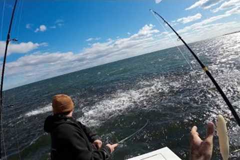 New Jersey Fall Run Bunker Blitz Madness BIG STRIPERS!!