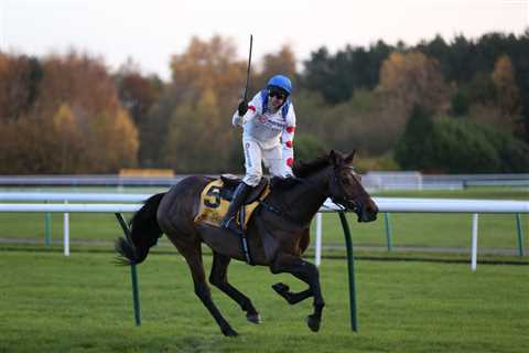 Who won Betfair Chase? Full Results and Finishing Order for Haydock Showpiece