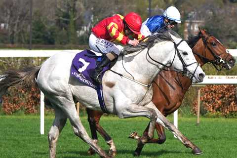 White Birch poised for return to action at Leopardstown