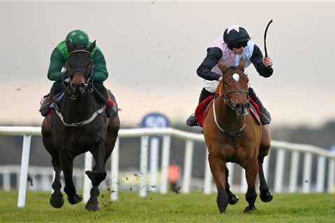 Cheltenham Festival: Teahupoo looks set to be the Stayers' Hurdle banker