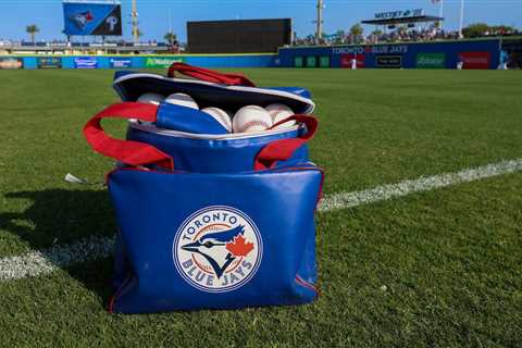 Blue Jays Prospect Dasan Brown Is Defensively Gifted