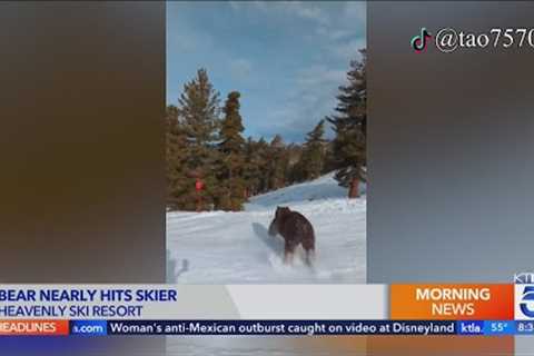 Wild video shows bear darting across Tahoe ski slope