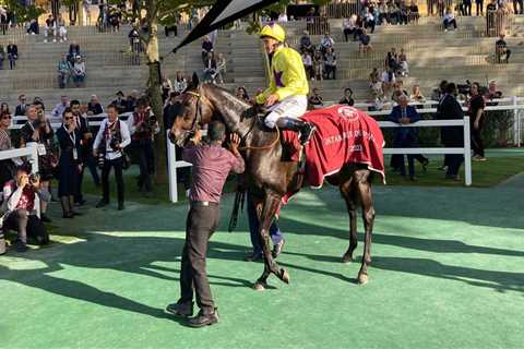 Sea Silk Road enjoys perfect send-off success in Prix de Royallieu