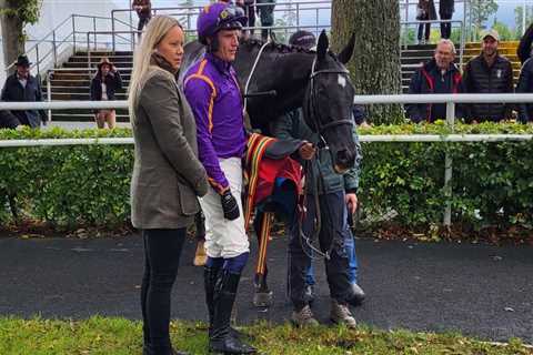 Envoi Allen well beaten behind Easy Game at Gowran Park