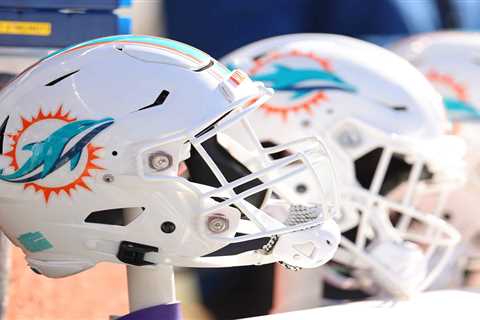 Dolphins Veteran Makes Clear Statement On Success Of 2023 Season