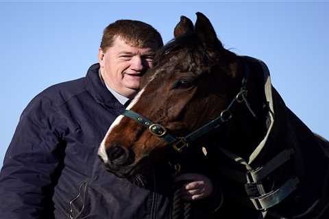 Shark Hanlon: The Trainer Who Finds Hidden Gems