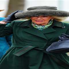 Queen Camilla’s Brooch Message Revealed at Cheltenham Festival