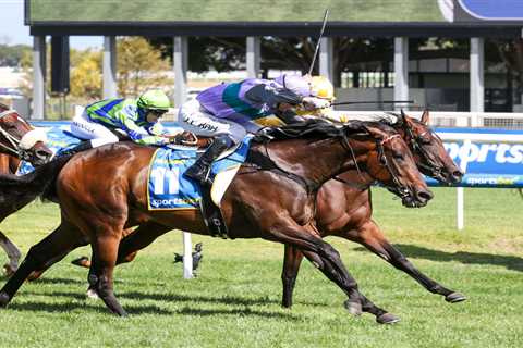 Hayasugi Makes History with 2024 Blue Diamond Treble