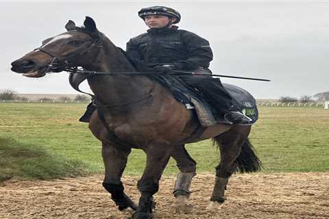 Cheltenham Festival: Nico de Boinville to the Rescue for Constitution Hill