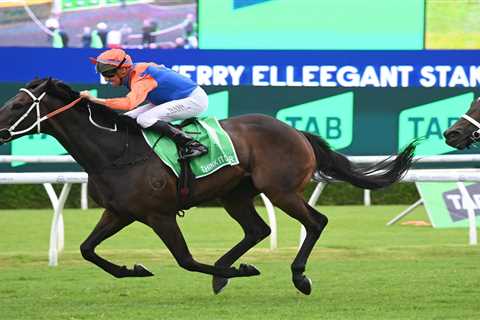 Think It Over Upsets Fan Favourite in Thrilling Verry Elleegant Stakes 2024 Victory