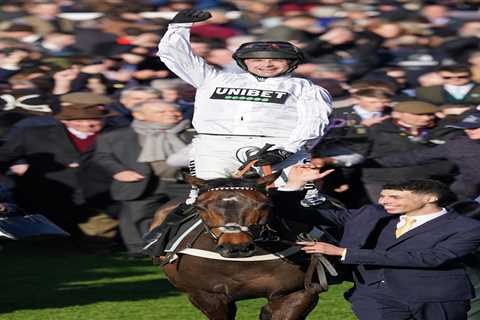 Constitution Hill OUT of Cheltenham Festival confirms ‘very sad’ Nicky Henderson