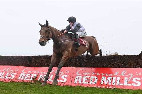 Amateur Jockey David Maxwell Secures Grand National Ride with Leading Irish Racehorse