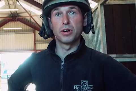 'Out of control' horse trainer 'absolutely ashamed' as he's sentenced to 15 months in prison