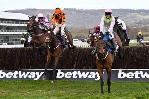 Cheltenham Festival 2024: Day 1 Results and Schedule