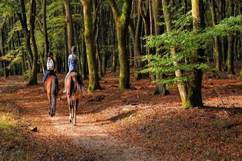 Exploring Aiken, SC: A Horseback Riding Tour of Historic Equestrian Events