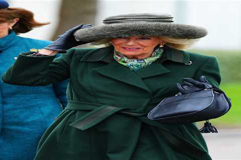 Queen Camilla’s Brooch Message Revealed at Cheltenham Festival