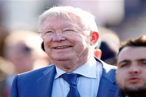 Sir Alex Ferguson and Harry Redknapp Aim for Glory at Cheltenham on St Patrick's Day