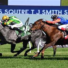 Chain Of Lightning Shocks Field in TJ Smith Stakes 2024 Results