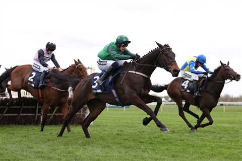 Ladies' Day at Aintree Festival: Mildmay Novices' Chase Results Unveiled